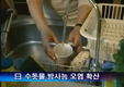 일본 수돗물 방사능 오염 확산