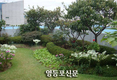 옥상공원화 사업 참여 희망자 모집