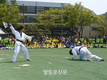 영등포구 생활체육태권도대회 개최