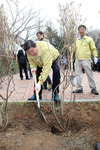 영등포구, 식목일 나무심기 행사