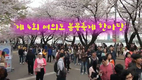 제4회 여의도 봄꽃대축제 한마당