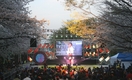 ‘제5회 여의도 봄꽃 대축제 한마당’ 성대히 개최