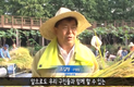 [영등포방송] 제4회 양평유수지 벼 가을걷이 체험행사