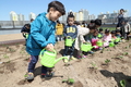 영등포구, 텃밭 가꾸는 꼬마농부 '우리가 심은 채소 쑥쑥 자라요'