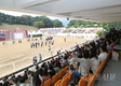 한국마사회, '말 문화축제' 개최