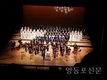 대한민국 독도 음악회 대구-익산 공연 