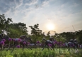 공원사진사 눈에비친 서울의 공원-사진 전시회