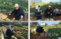 신길7동 지역사회보장협의체, 복지기금마련 위한 고구마 수확