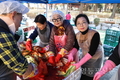 [포토] 북한이탈주민과 '사랑의 김장' 나누기