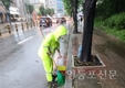 영등포구, 추석 연휴 특별 청소대책 시행