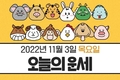 11월 3일 오늘의 운세