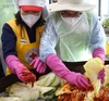 검찰사랑봉사단, 김장김치 봉사로 온정 전달
