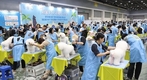 전국 애견미용 콘테스트