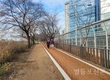 영등포구, 안양천 맨발 황톳길 조성