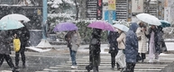 [날씨] 전국 곳곳에 눈·비…강원 산지 적설량 최대 40㎝