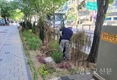 영등포구, ‘우수관리 가로수길 경진대회’ 2년 연속 ‘최우수구’ 수상 쾌거