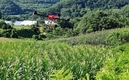 강원도 화천군, 고령·취약 농가에 '드론 방제·영농대행' 추진