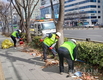 영등포구, 봄맞이 가로수·가로정원 정비