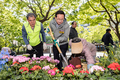영등포구, 주민과 함께 녹색 공간 확대
